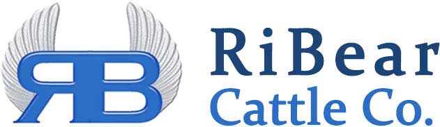Official-RiBear-Logo-small
